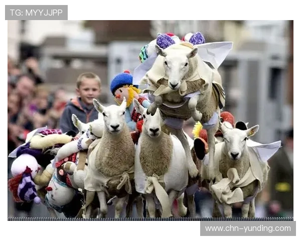 云顶赌场菲律宾最新赛事信息,精彩纷呈的比赛让你乐趣不断